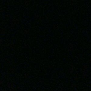 Meet your Posher, Irasema